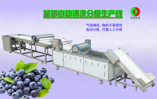 贵定蓝莓/蔬果全自动清洗分级生产线